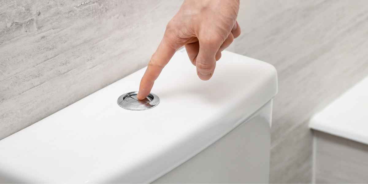 Autoclismos de Descarga Dupla