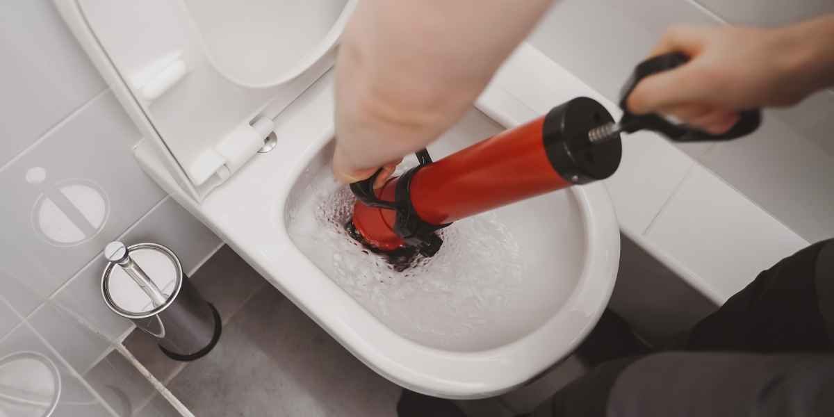Desentupimento de sanita