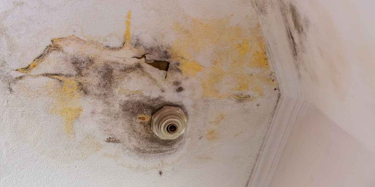 Infiltração na Parede e no Teto