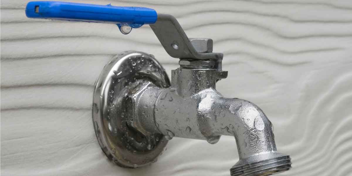 Substituição de trneira de jardim Doutor House Canalizadores em Lisboa