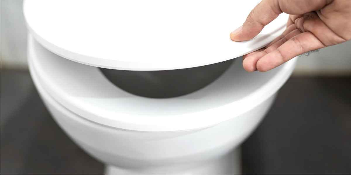 sanita desentupida pela Doutor House Canalizadores em Lisboa